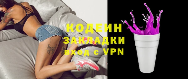 хмурый Алексин
