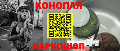 прущие грибы Пыть-Ях