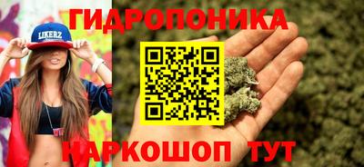 прущие грибы Пыть-Ях